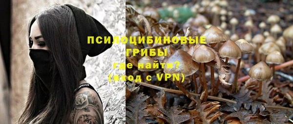 дмт Алексеевка