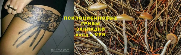 ГАЛЛЮЦИНОГЕННЫЕ ГРИБЫ Алзамай