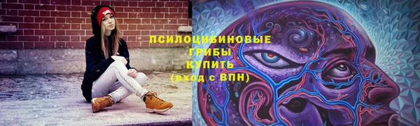 дмт Алексеевка