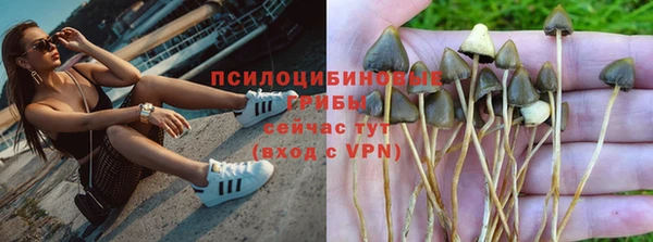 дурь Алексин