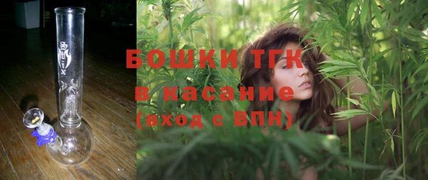 ГАЛЛЮЦИНОГЕННЫЕ ГРИБЫ Алзамай