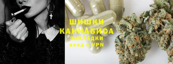 ГАЛЛЮЦИНОГЕННЫЕ ГРИБЫ Алзамай